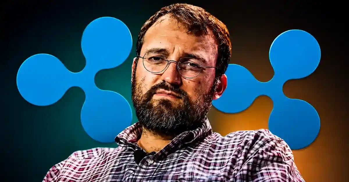Hoskinson: Crypto Is About “Freedom and Liberty,” Not Price